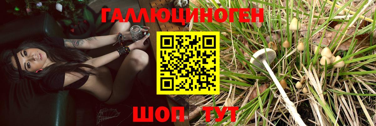 Галлюциногенные грибы мухоморы  Вход с VPN  купить закладку  Галлюциногенные грибы Psilocybine cubensis  Фролово 
