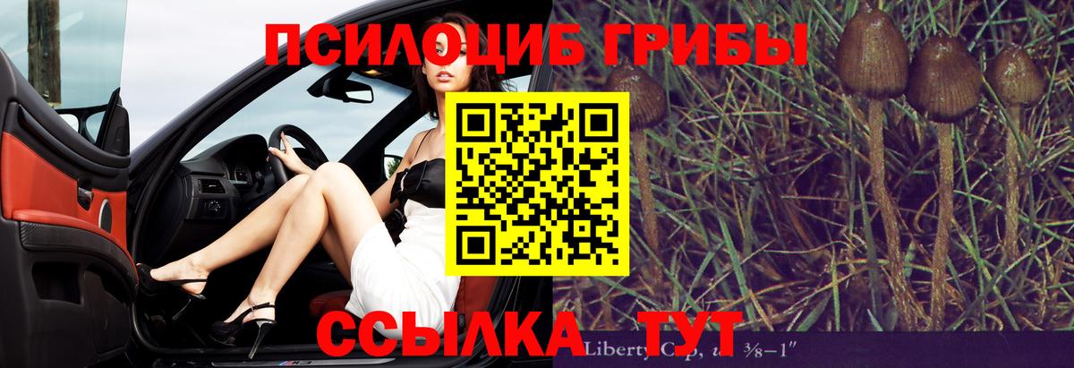 Псилоцибиновые грибы мицелий Фролово